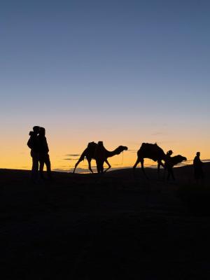 Nomad raid silouhettes chameau